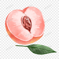 WWW,155av·COM网站APPAPP应用